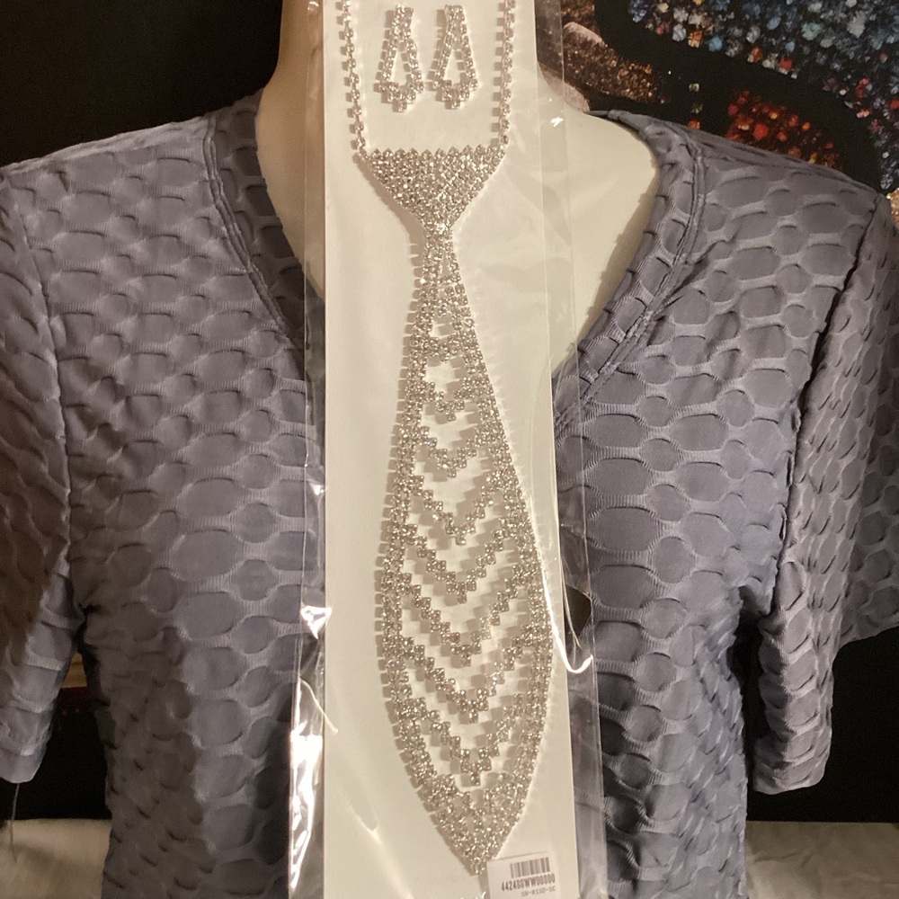 SEXY 🔥 Elegant Silver Rhinestone Necklace and Earring Set